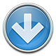 Down Arrow Icon